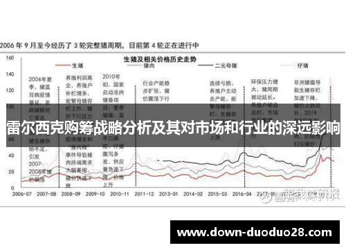 雷尔西克购筹战略分析及其对市场和行业的深远影响 雷尔西克购筹战略分析及其对市场和行业的深远影响